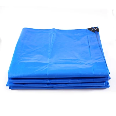 Couverture de camion en PE de couleur personnalisée Top Sale Tarp de couverture de bâche en PE