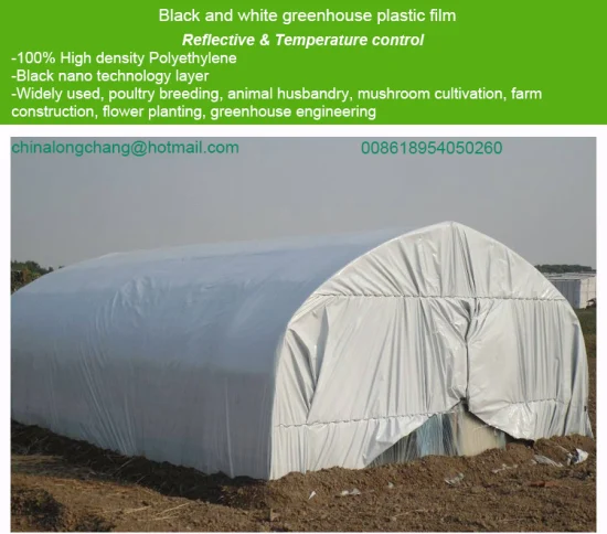 Film agricole occultant en plastique d'ensilage LDPE Feuille d'ensilage noir et blanc Couverture de bunker Film Panda à effet de serre Poly Silo Tarp